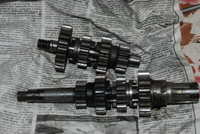DSC_0331.jpg