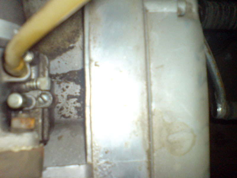 DSC00487.jpg
