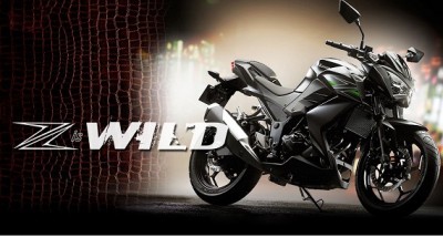 new-kawasaki-z250-.jpg