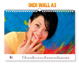 web_ind-wall_in_2.jpg