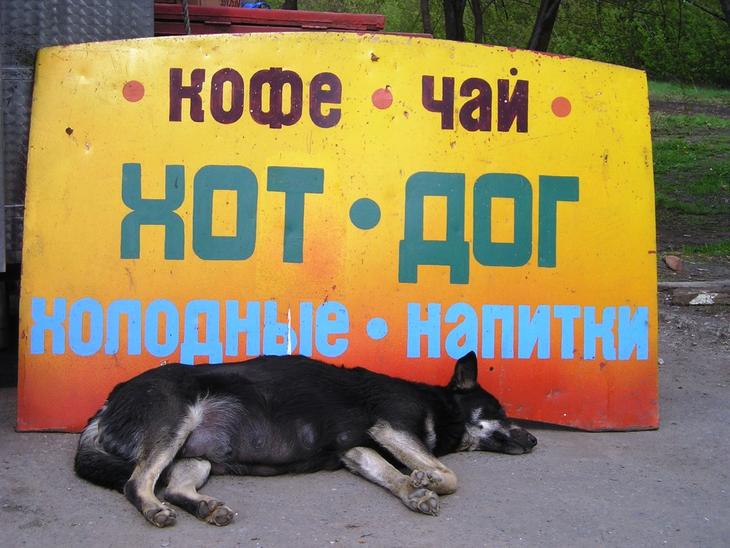 Taganrog_lunchroom_advertising_appeal.jpg