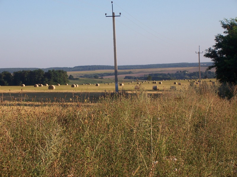 100_5119.JPG
