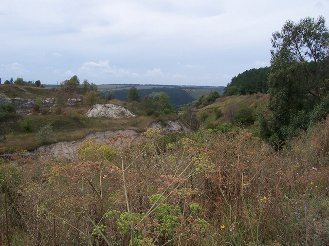 100_5125.jpg