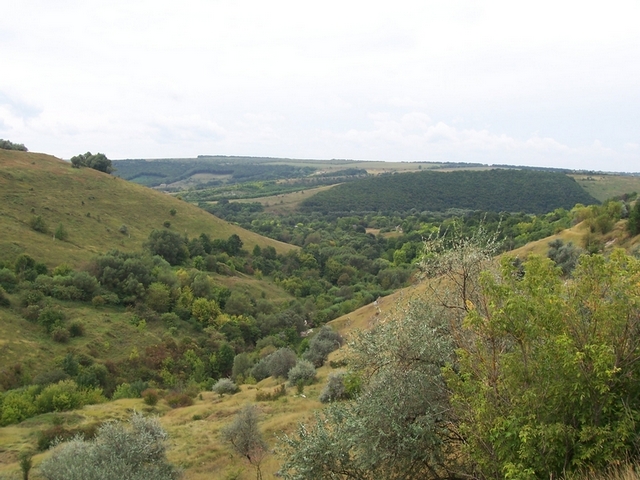 100_5131.jpg