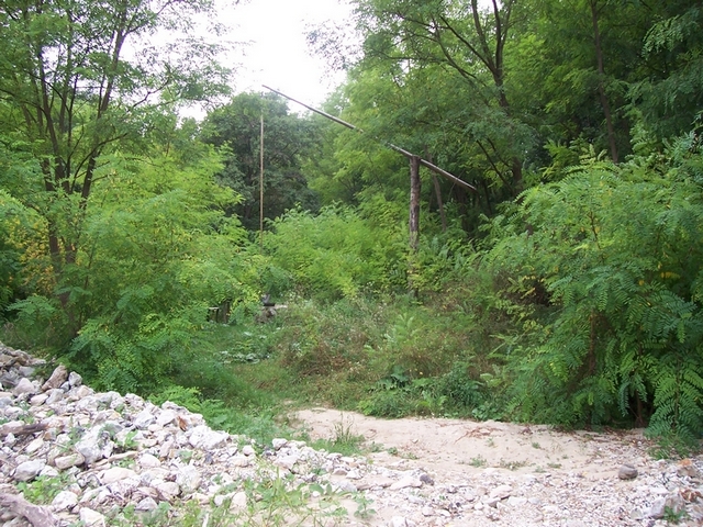 100_5194.jpg