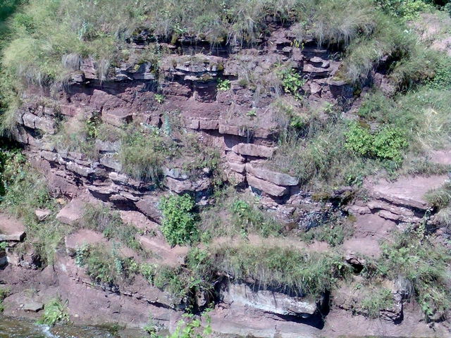 Нирків.jpg (6).jpg