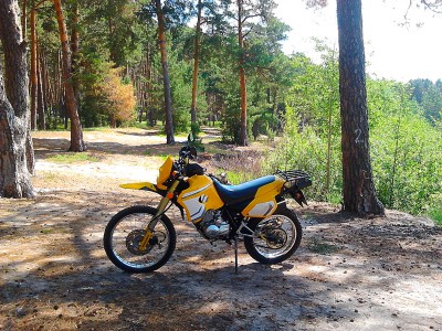 2017-05-31 10.58.39.jpg (3.15 МіБ) Переглянуто 9203 разів в лесу-2