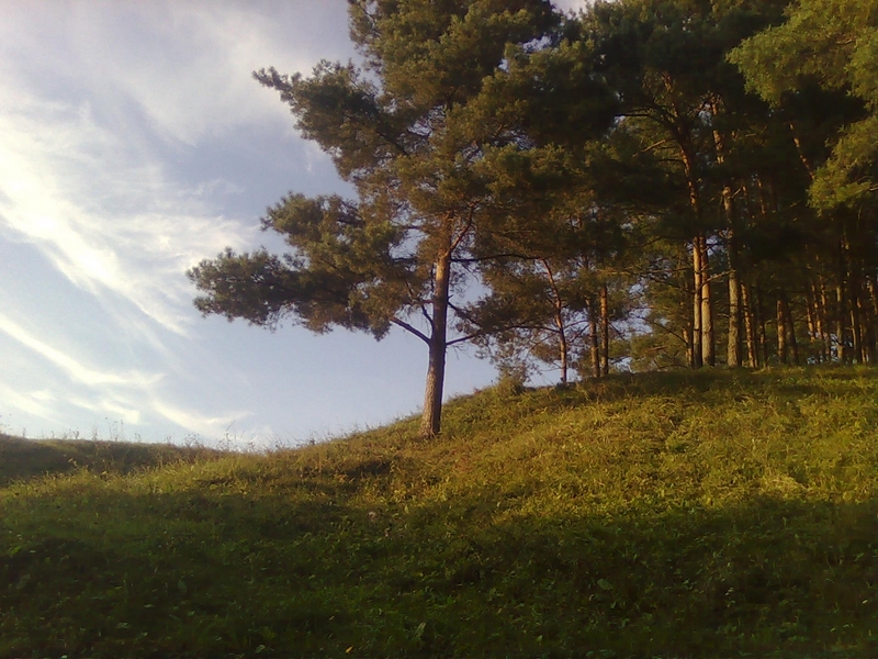 Зображення0462.jpg