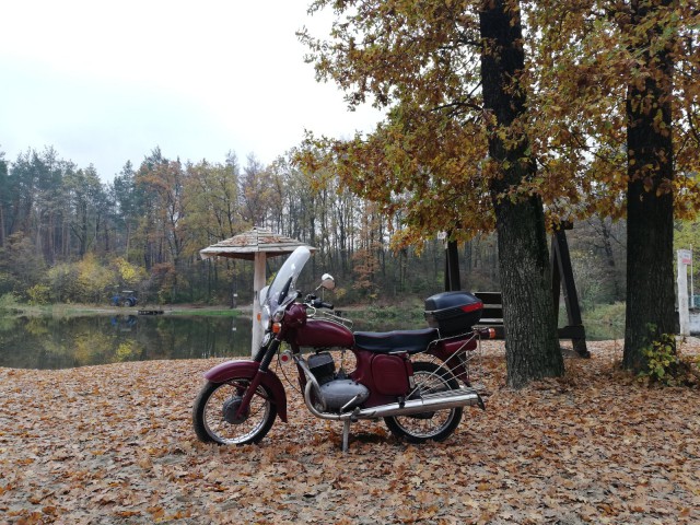 IMG_20201104_113754.jpg