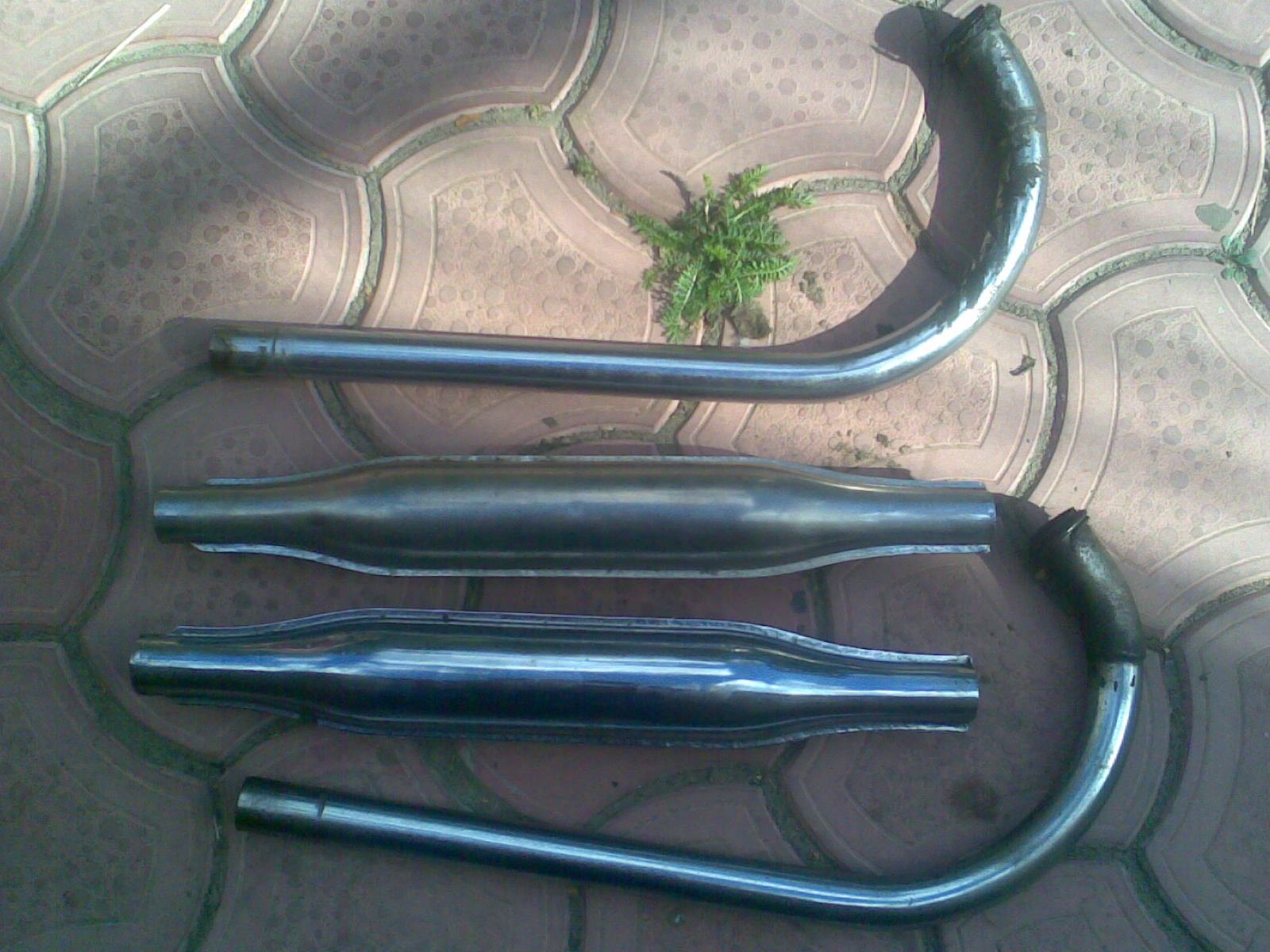 20092009.jpg
