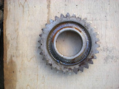 DSCN1681.JPG