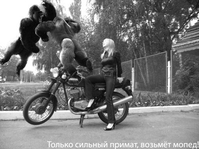 Motocikl_jawa_638_1.jpg