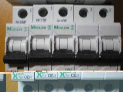 P1010135.JPG