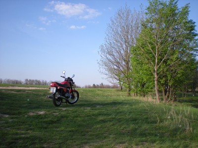 DSCN8935c.jpg