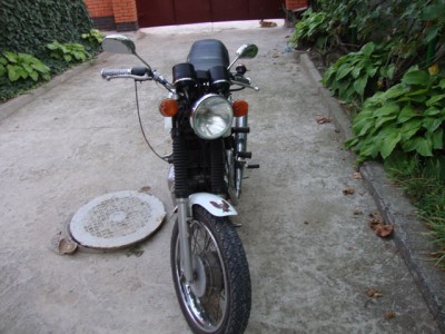 DSC01517.jpg
