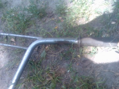 Тото038.jpg