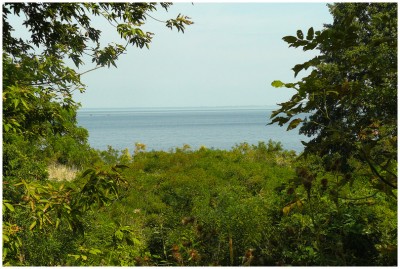 Вид на водохранилище с берега озера.
