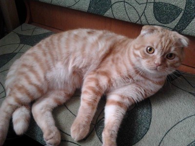 Resize of 2012-12-11 11.13.33.jpg